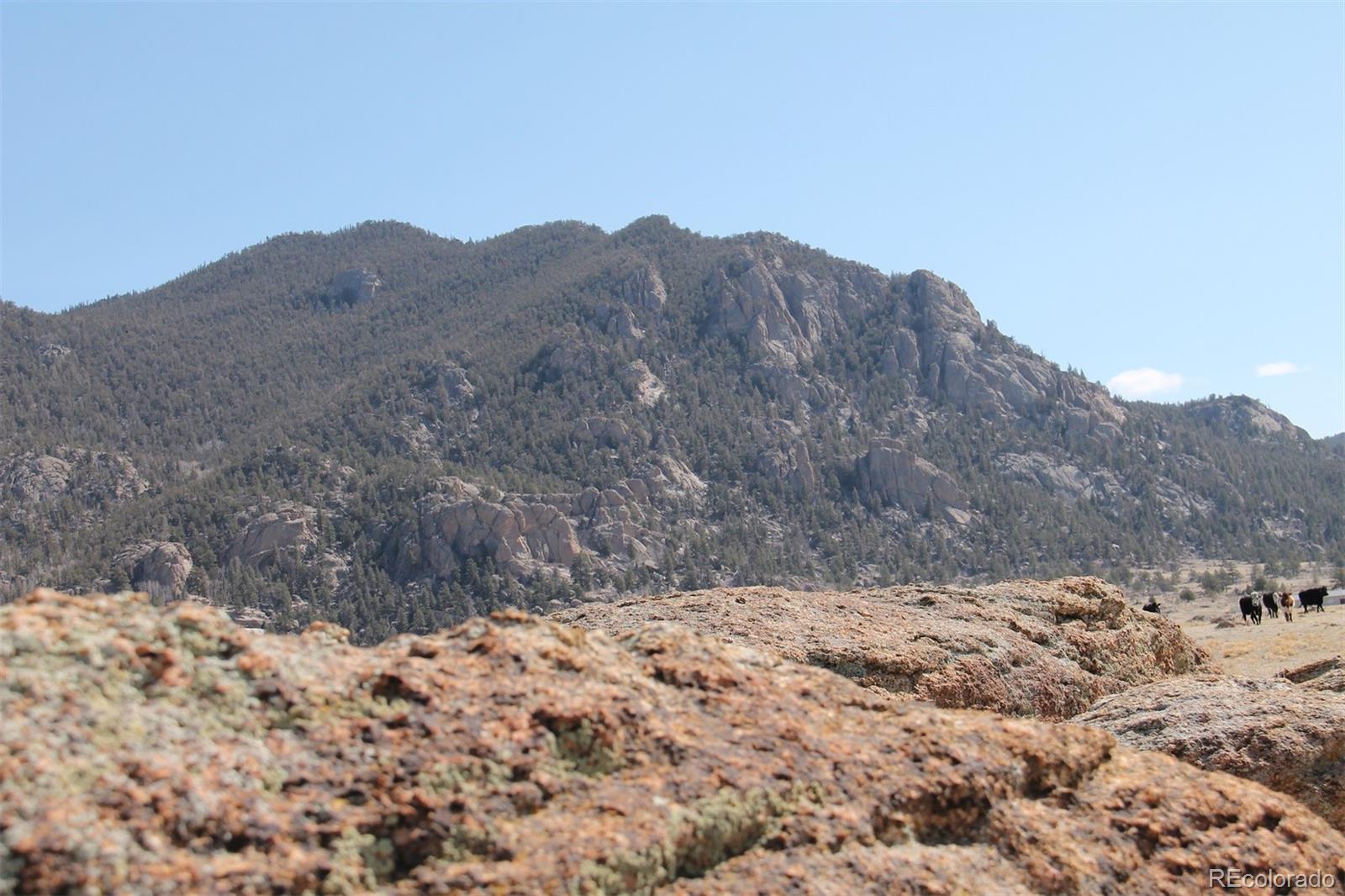 None Lake George, CO 80827 - Photo 2 of 6 Gallery Image 2