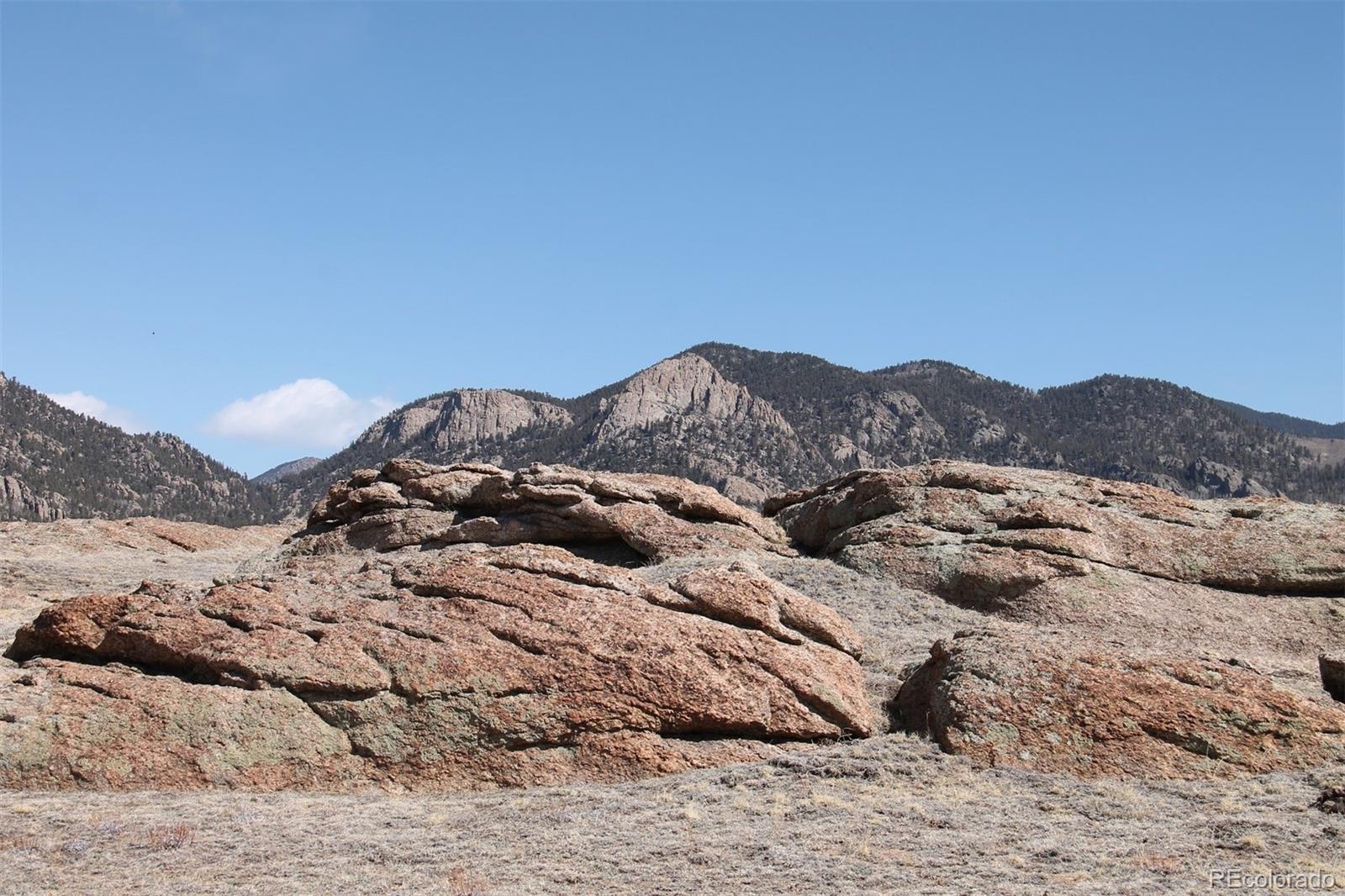 None Lake George, CO 80827 - Photo 3 of 6 Gallery Image 3