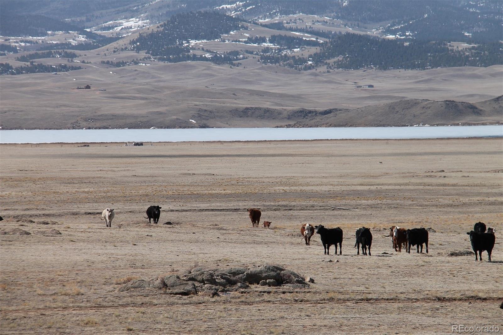 None Lake George, CO 80827 - Photo 4 of 6 Gallery Image 4