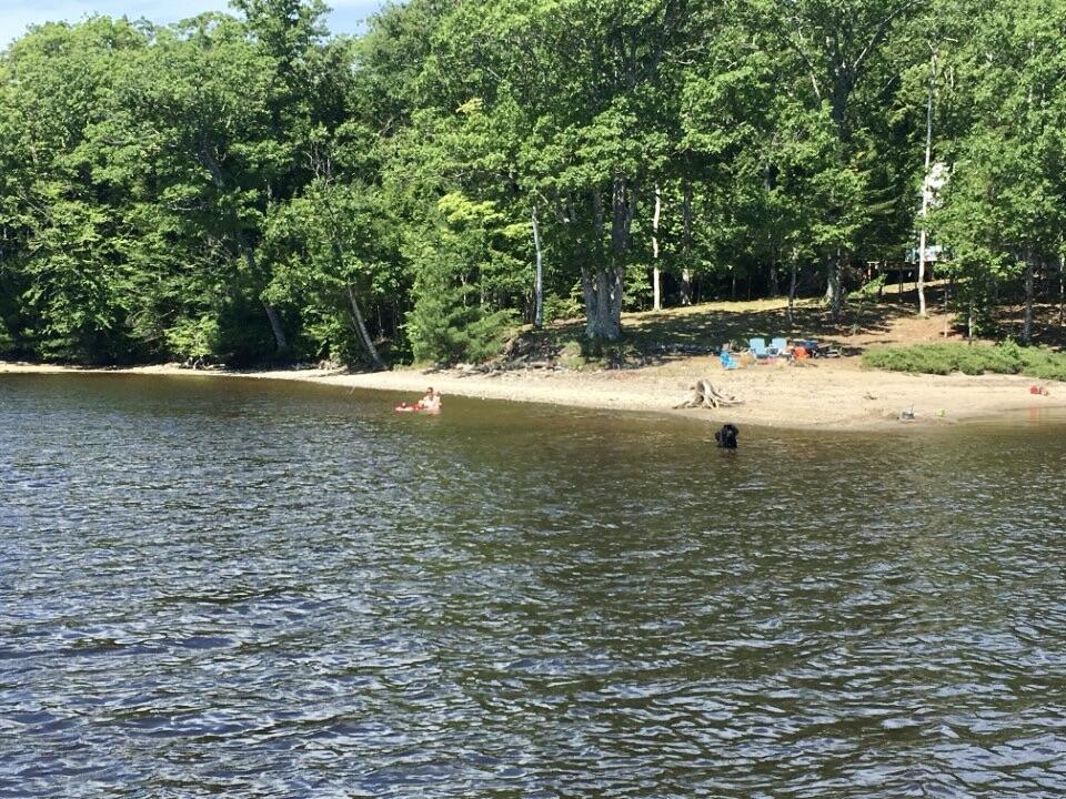 1 Eagle Island Ellsworth, ME 04605 - Photo 12 of 22 c0619995-774d-45ad-9d76-a18f0f5b0072