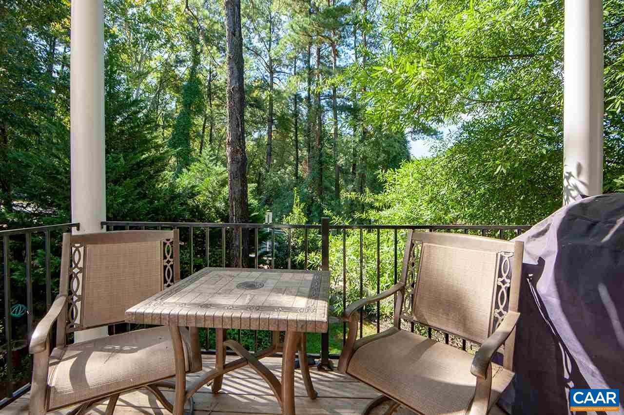 335 Quarry Road Charlottesville, VA 22902 - Photo 16 of 36 a view of a patio with a table chairs and a table
