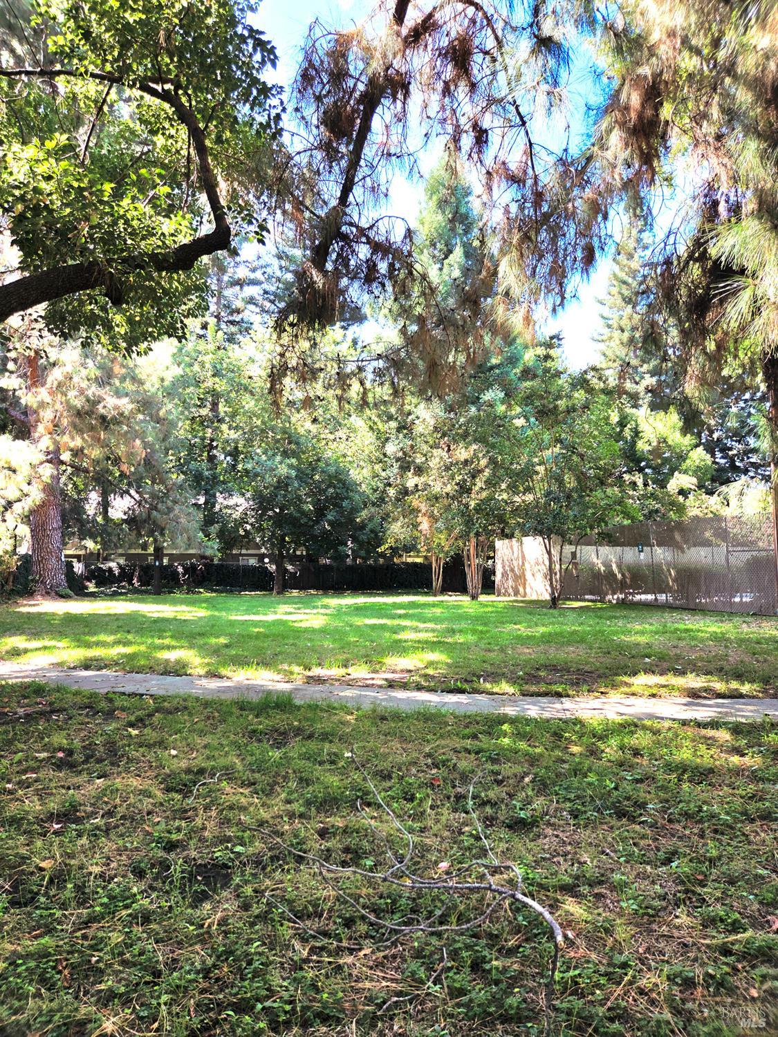 140 Del Rio Court, Unit 4 Vacaville, CA 95687 - Photo 25 of 25 a view of a field with a tree