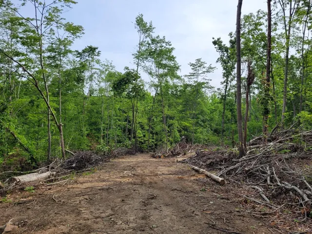 a big yard with lots of green space and house
