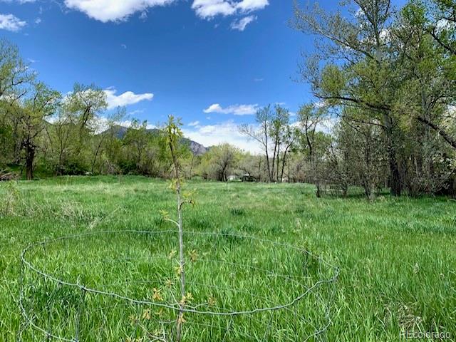 1521 Marshall Road Boulder, CO 80305 - Photo 22 of 40 a view of a grassy field with trees in the background
