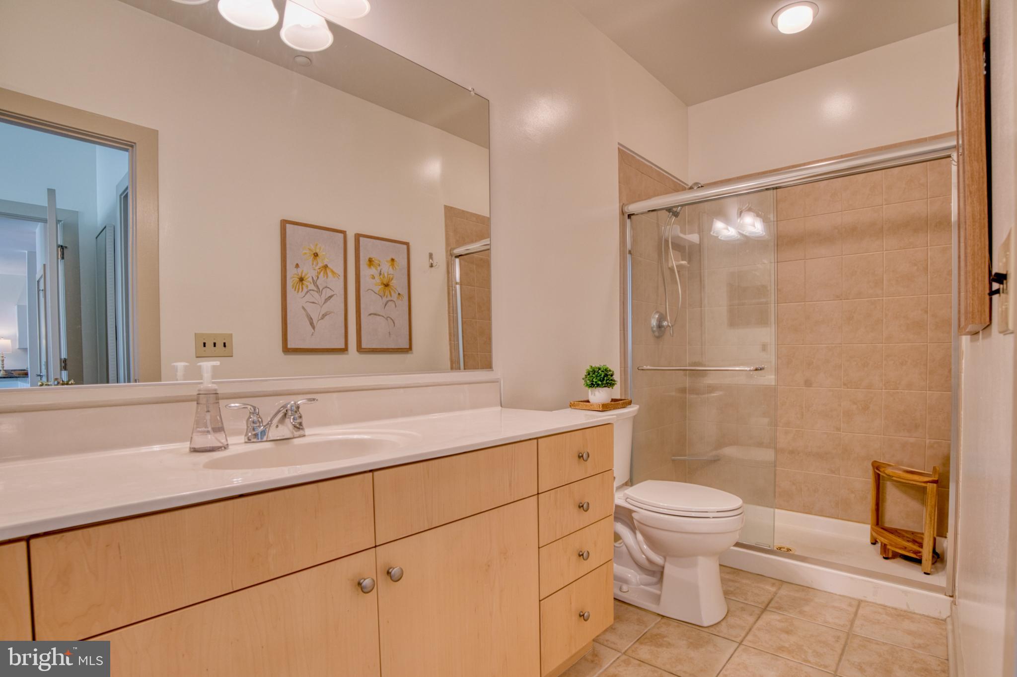 2007 Clipper Park Road, Unit 325 Baltimore, MD 21211 - Photo 27 of 41 Primary bath