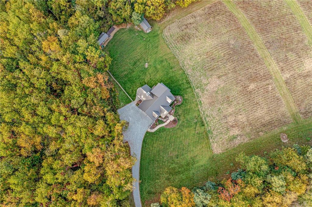 2780 Ipnar Road Irwin, PA 15642 - Photo 4 of 49 a view of a yard with plants