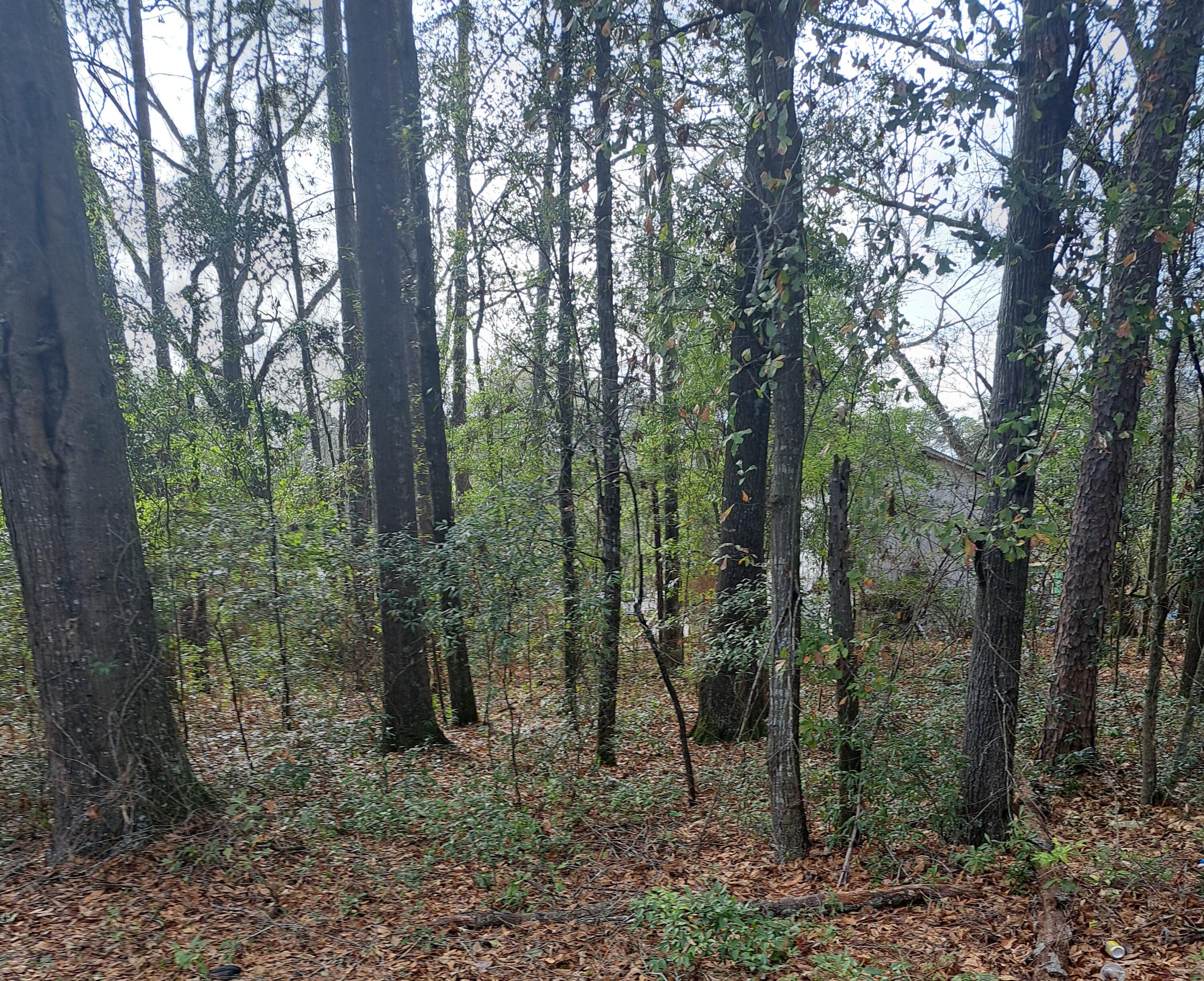 2-nd 2-nd 2nd Santee, SC 29142 - Photo 2 of 3 20260121_130448 (1) p2