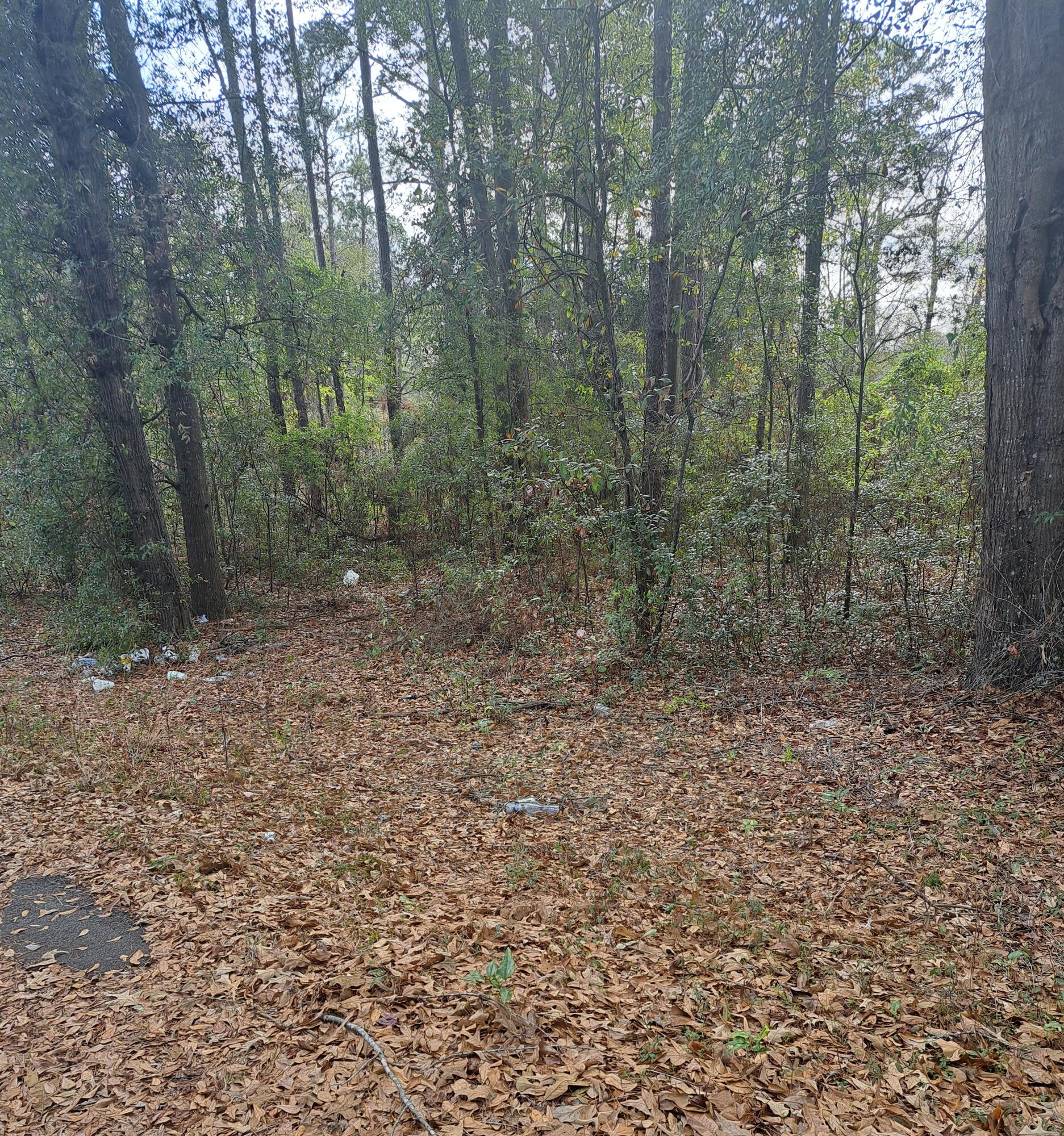 2-nd 2-nd 2nd Santee, SC 29142 - Photo 3 of 3 20260121_130443 p1