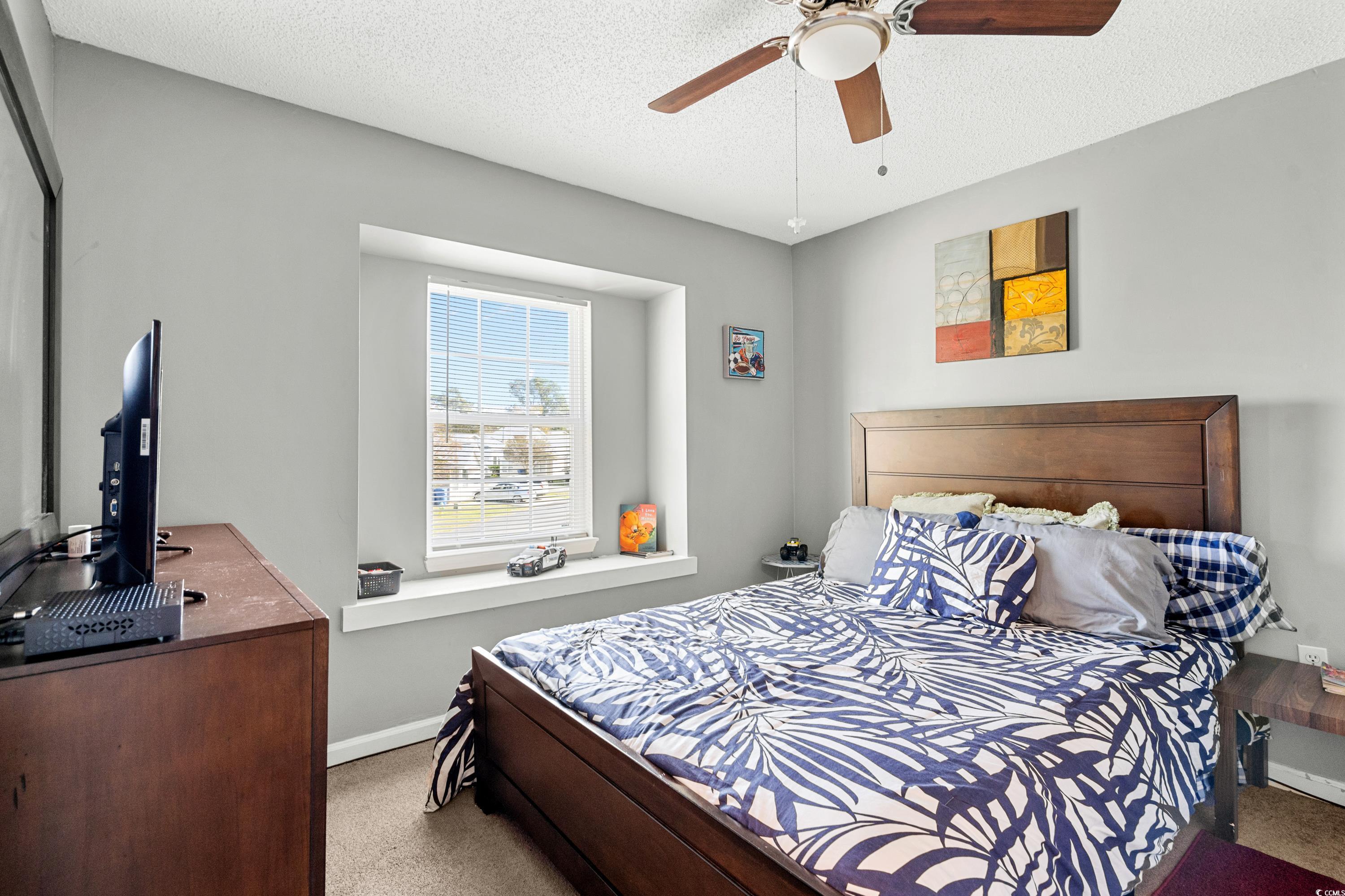 133 Whitehaven Court Myrtle Beach, SC 29577 - Photo 25 of 31 Bedroom with carpet floors, a textured ceiling, an