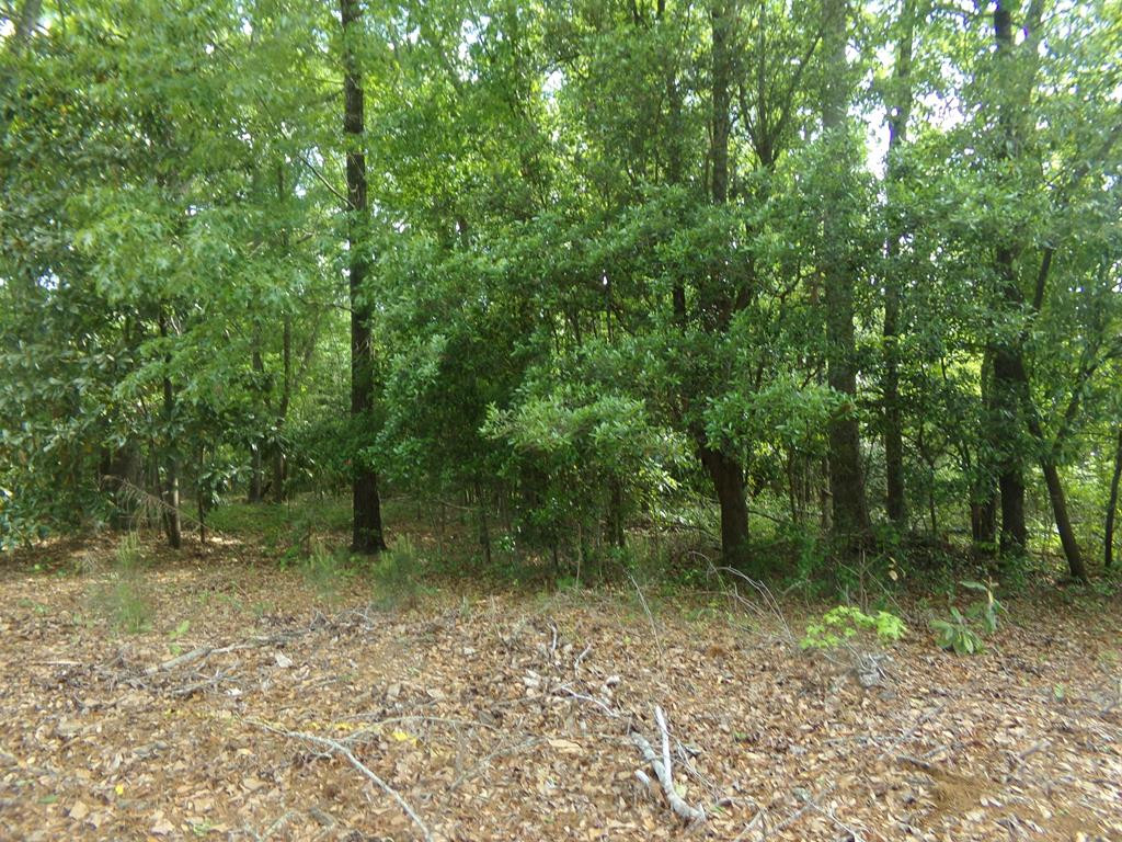 54 Harrell Street Sumter, SC 29150 - Photo 1 of 3 Gallery Image 1