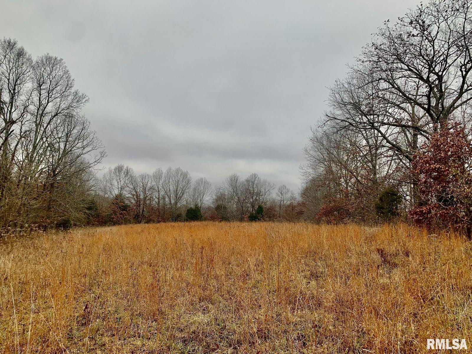 0 Wildman Road Golconda, IL 62938 - Photo 11 of 23 Gallery Image 11