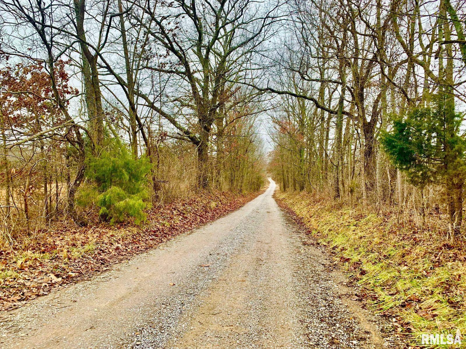 0 Wildman Road Golconda, IL 62938 - Photo 12 of 23 Gallery Image 12