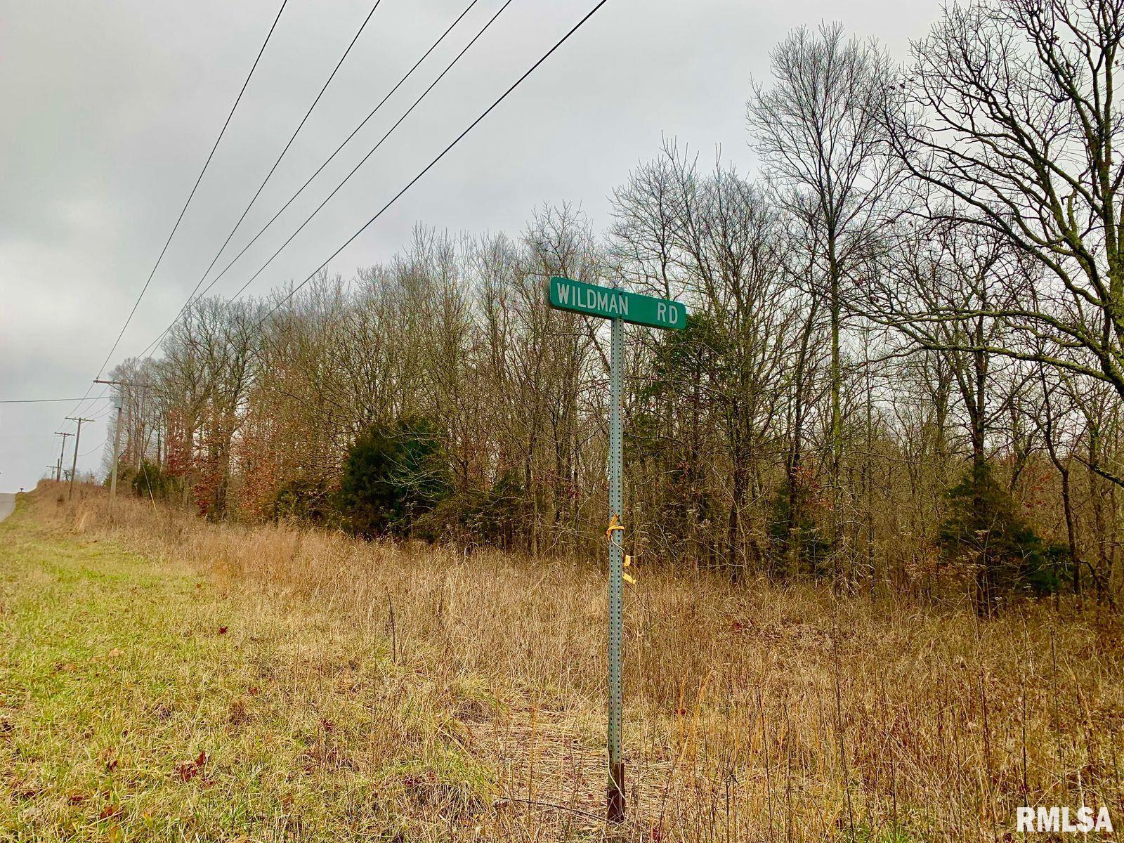 0 Wildman Road Golconda, IL 62938 - Photo 13 of 23 Gallery Image 13