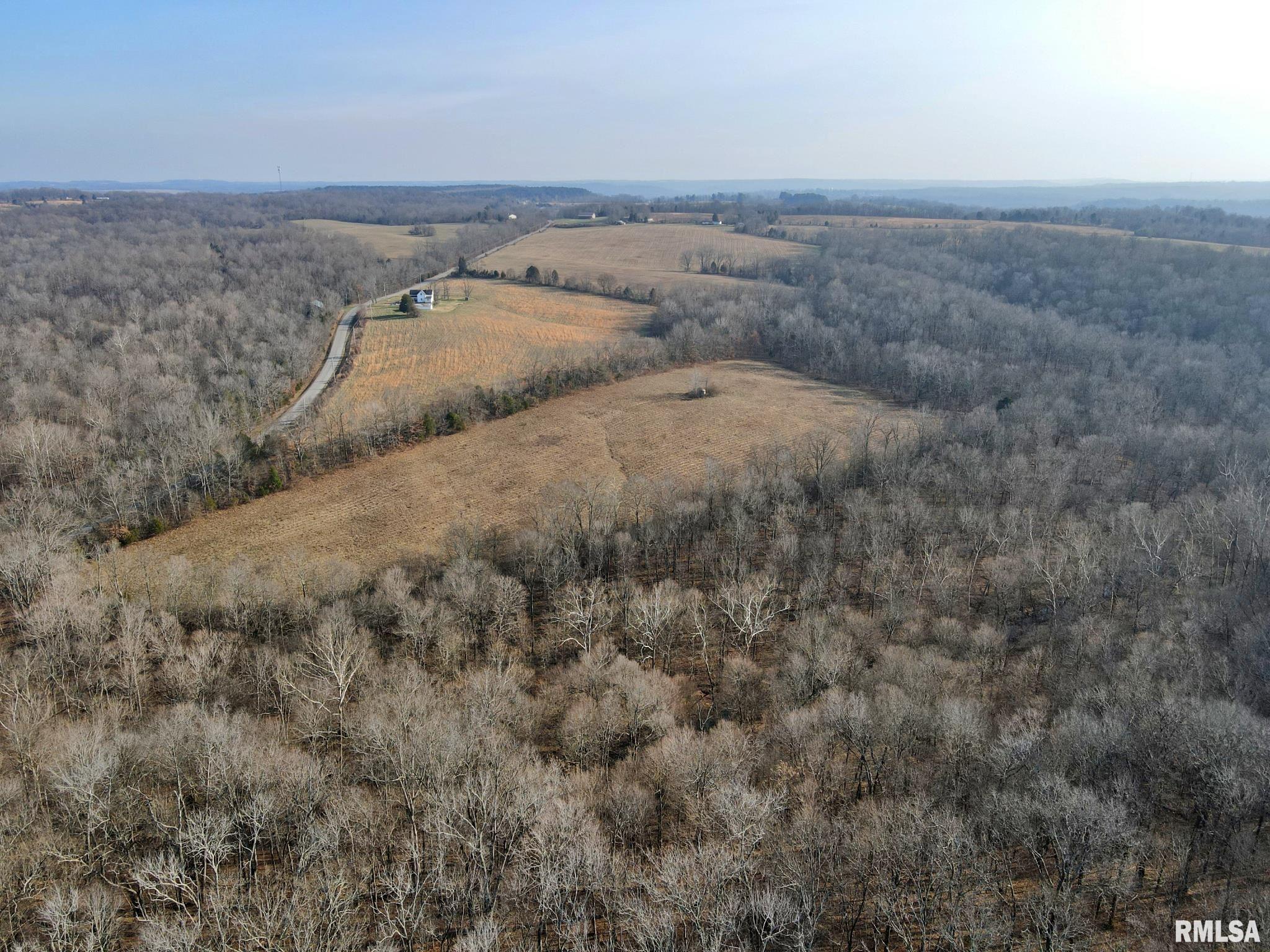 0 Wildman Road Golconda, IL 62938 - Photo 16 of 23 Gallery Image 16
