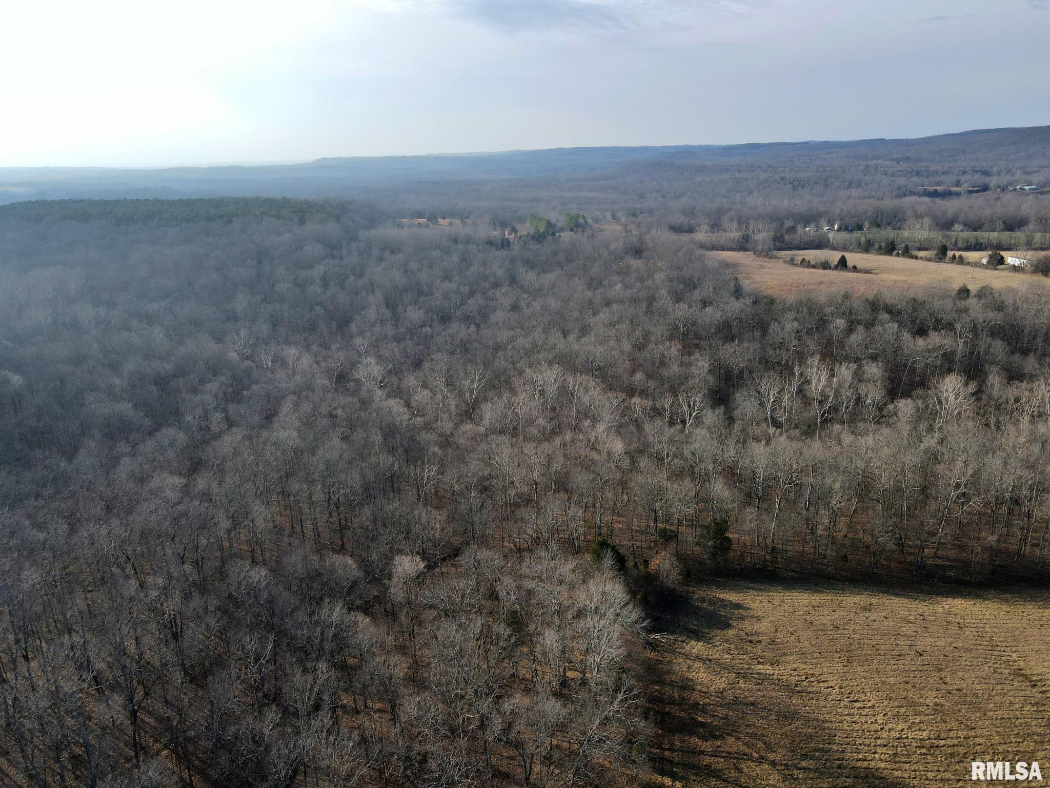 0 Wildman Road Golconda, IL 62938 - Photo 22 of 23 Gallery Image 22