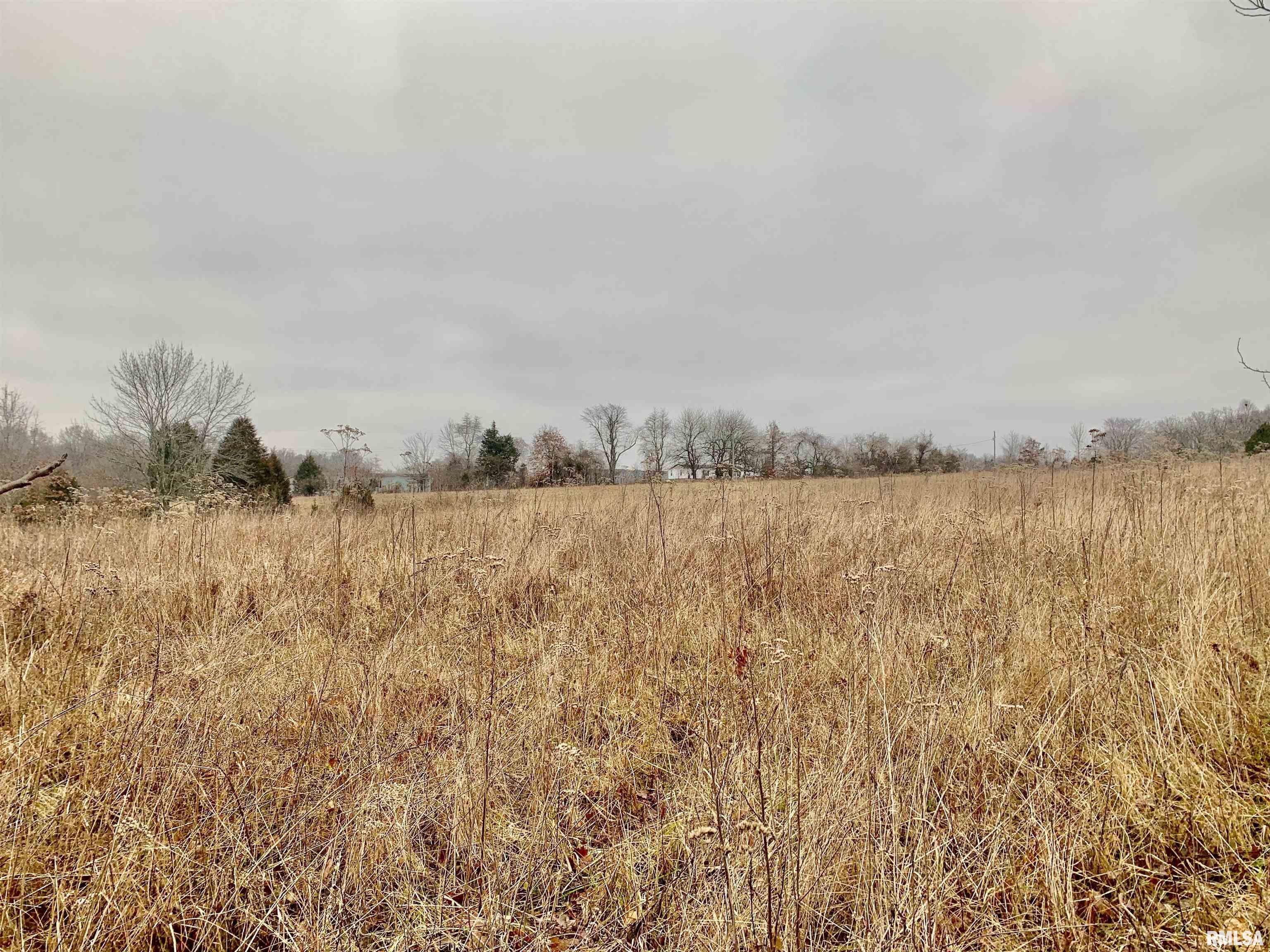 0 Wildman Road Golconda, IL 62938 - Photo 9 of 23 Gallery Image 9