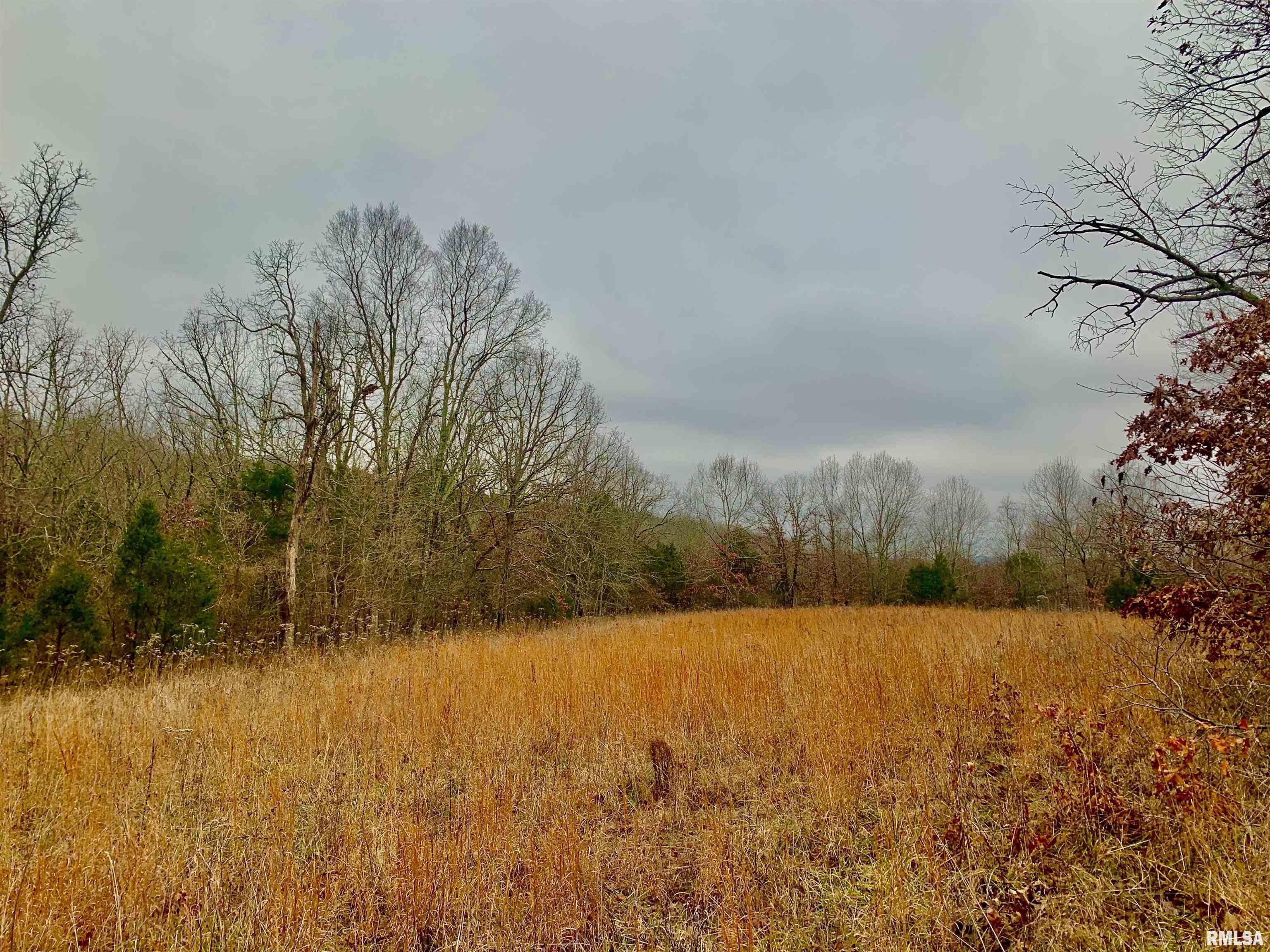 0 Wildman Road Golconda, IL 62938 - Photo 10 of 23 Gallery Image 10