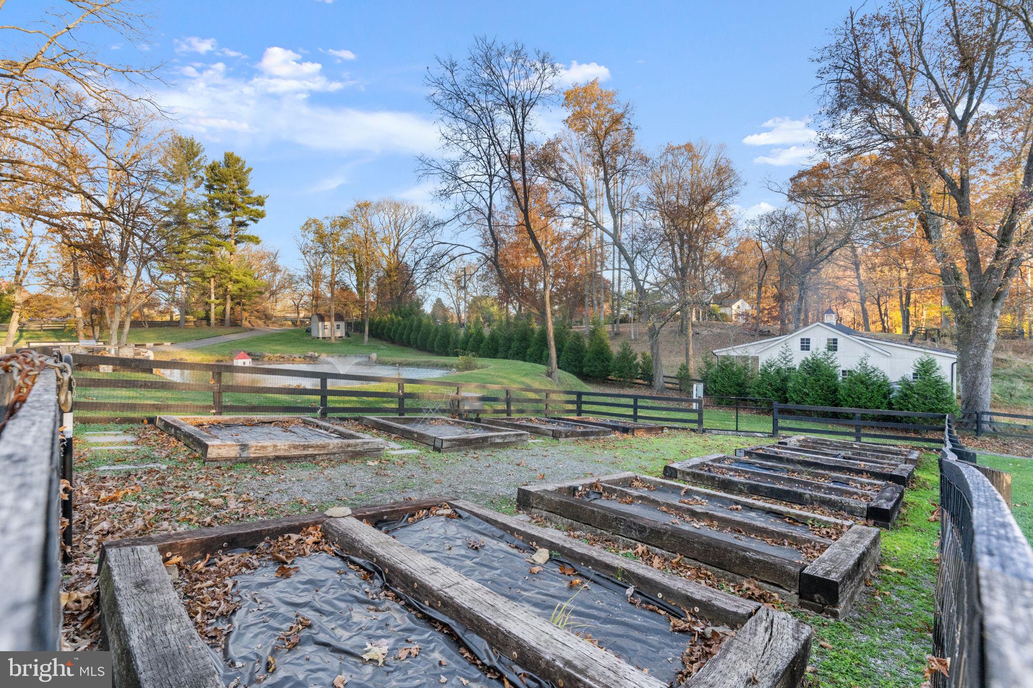 23375 Potts Mill Road Middleburg, VA 20117 - Photo 42 of 48 a view of a park with large trees