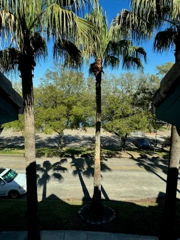 a view of swimming pool from a lake