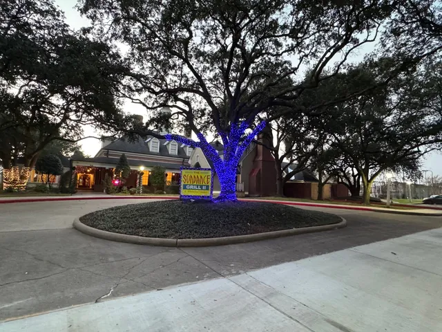 a view of road with trees