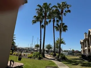 a view of a palm tree with a big yard and palm trees