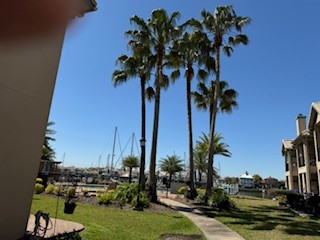 517 Mariners Drive Kemah, TX 77565 - Photo 3 of 26 a view of a palm tree with a big yard and palm trees