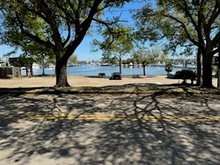a view of a yard with a tree