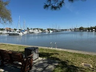 a view of a backyard with a fountain and plants