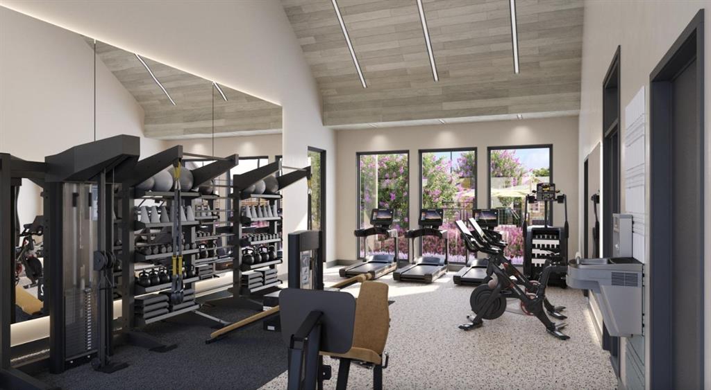 9032 Prairie Path, Unit 3406 Rowlett, TX 75089 - Photo 21 of 28 Gym featuring high vaulted ceiling, light colored carpet, and rail lighting