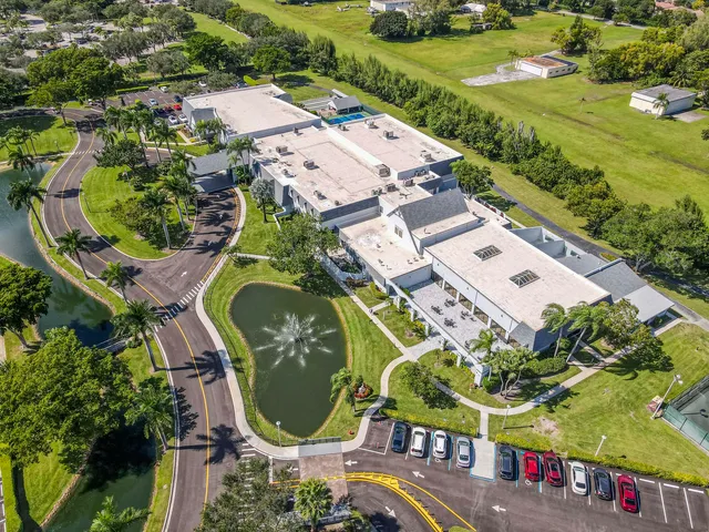 a palm tree sitting in front of a house with a big yard