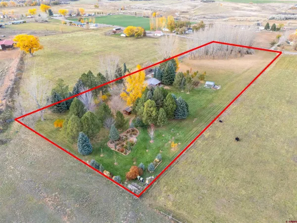 a living room with furniture a ceiling fan and a rug