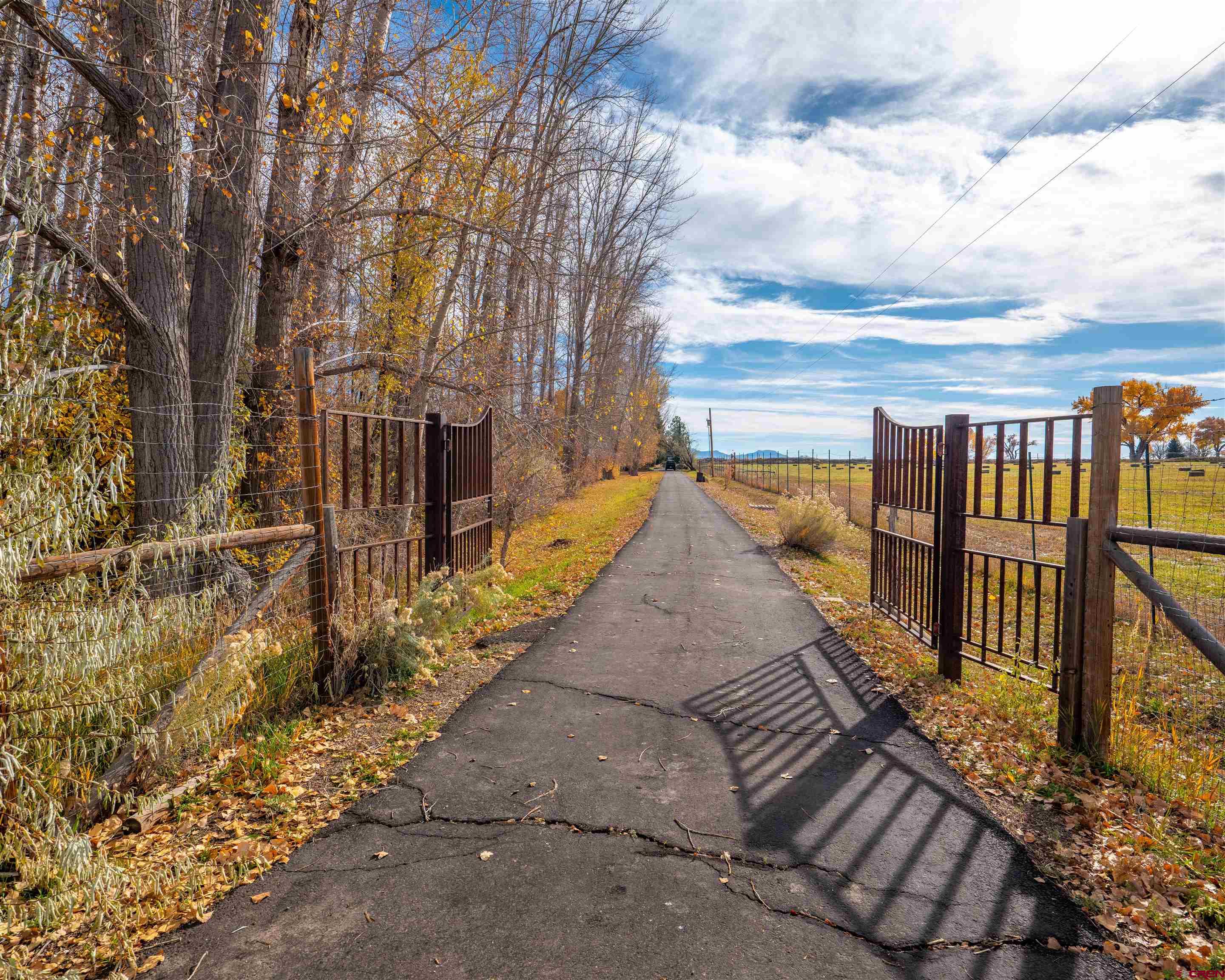 24620 Rd North Cortez, CO 81321 - Photo 6 of 40