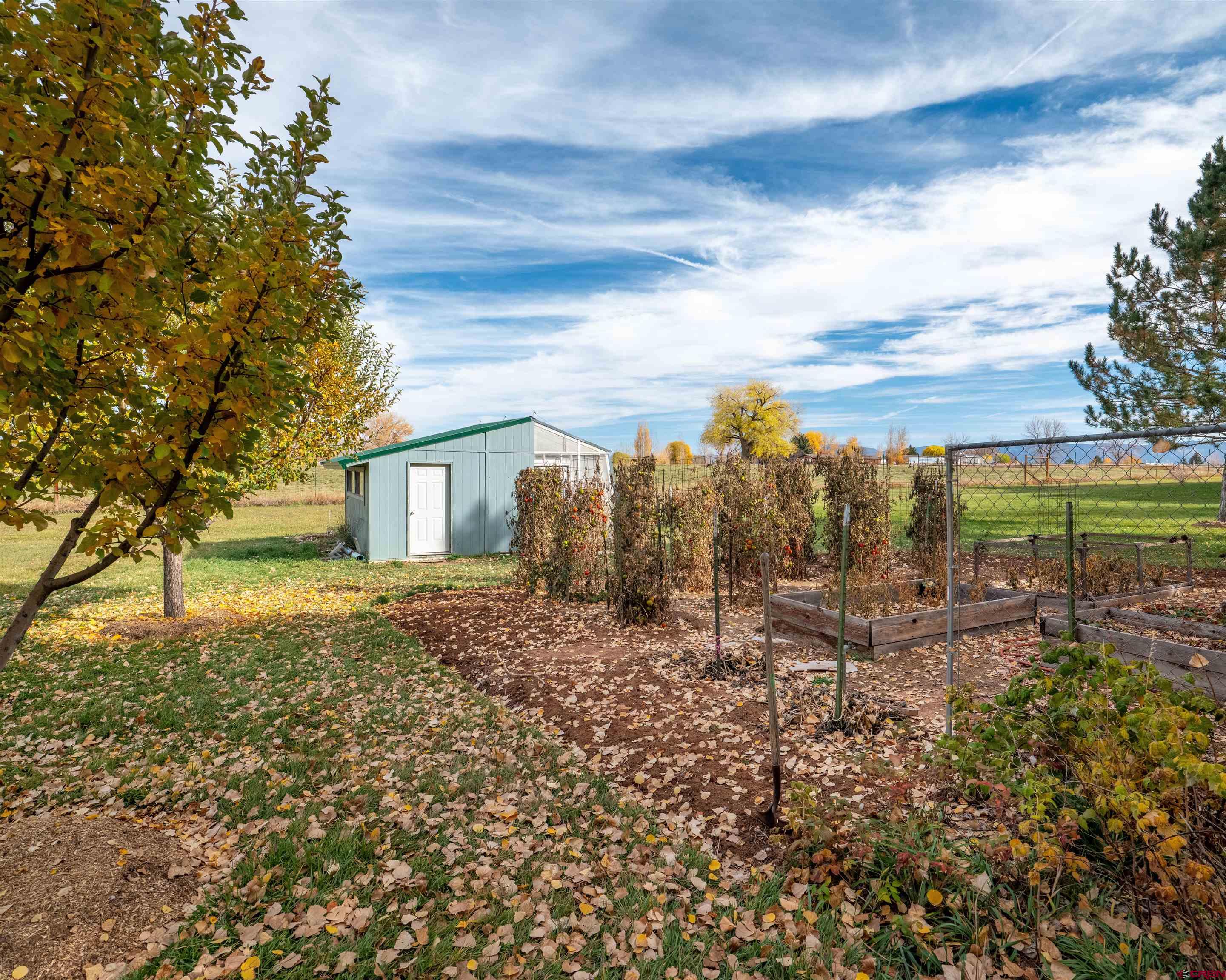24620 Rd North Cortez, CO 81321 - Photo 7 of 40 a view of a yard with wooden fence