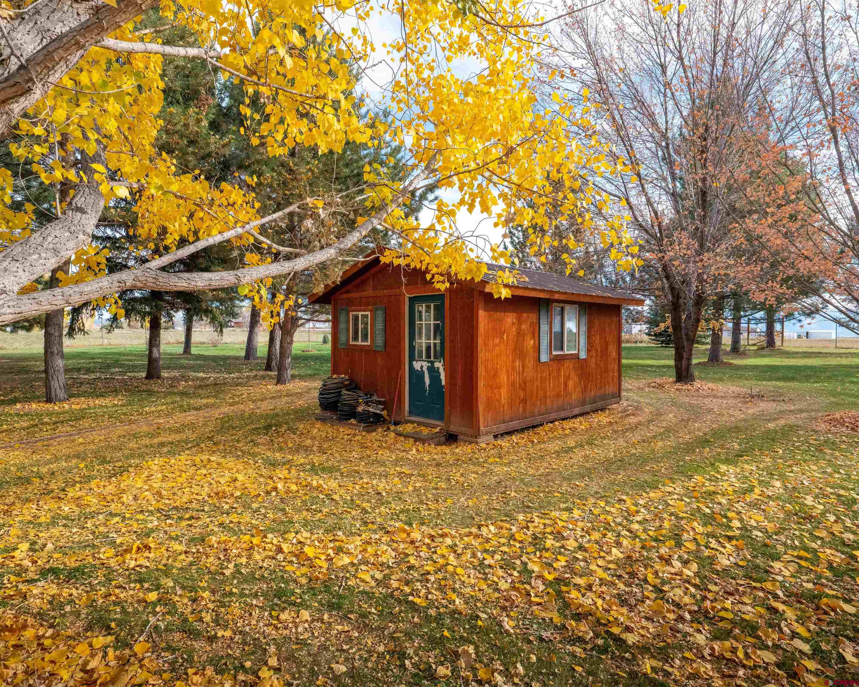 24620 Rd North Cortez, CO 81321 - Photo 9 of 40