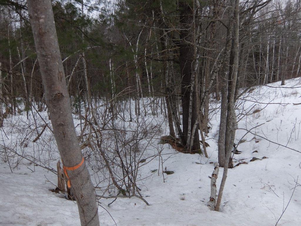 0 Pound Hill Road Cornish, ME 04020 - Photo 7 of 15 DSCF7924