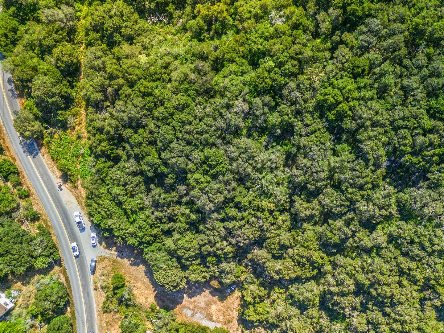 524 Echo Valley Road Prunedale, CA 93907 - Photo 3 of 12 a view of a yard