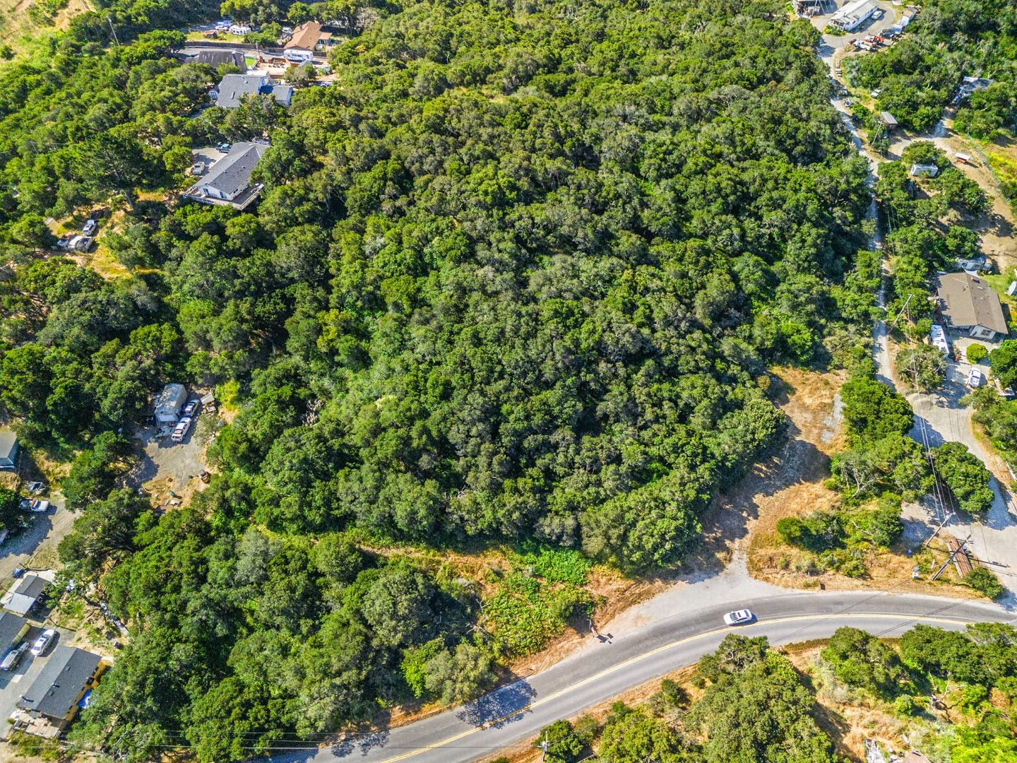 524 Echo Valley Road Prunedale, CA 93907 - Photo 5 of 12 a view of a garden