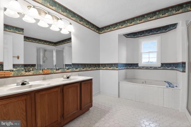 a bathroom with a tub a double vanity sink and a mirror