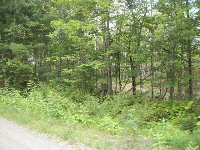 Lot P/o Railroad Bed Road Buckfield, ME 04220 - Photo 6 of 8 Photo