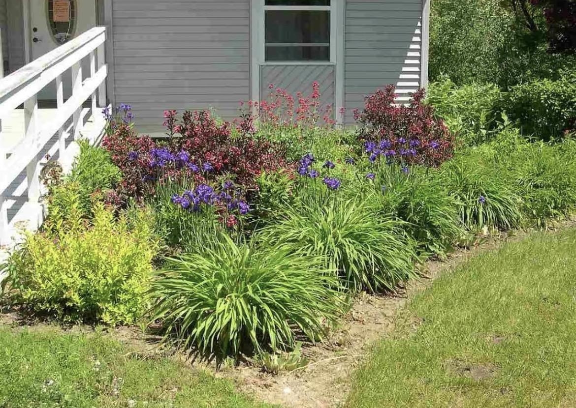8155 Blackman Road Kingsley, MI 49649 - Photo 58 of 66