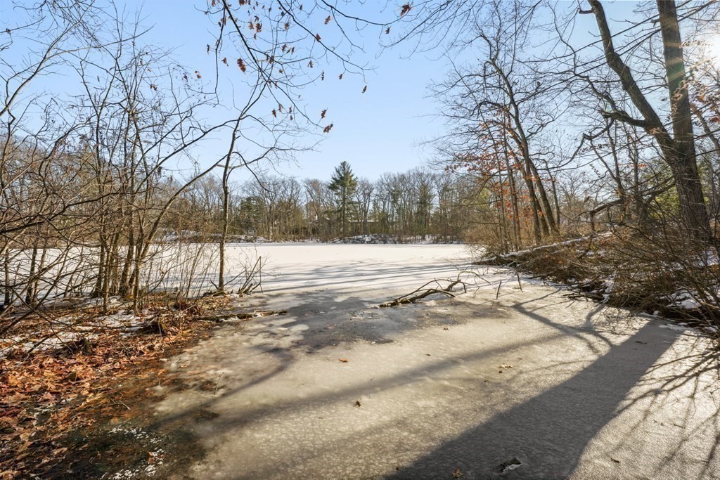 89 Ledgeways Wellesley, MA 02481 - Photo 41 of 42 a view of snow on the road