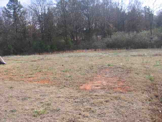 124 Maxton Way Pelzer, SC 29669 - Photo 4 of 7