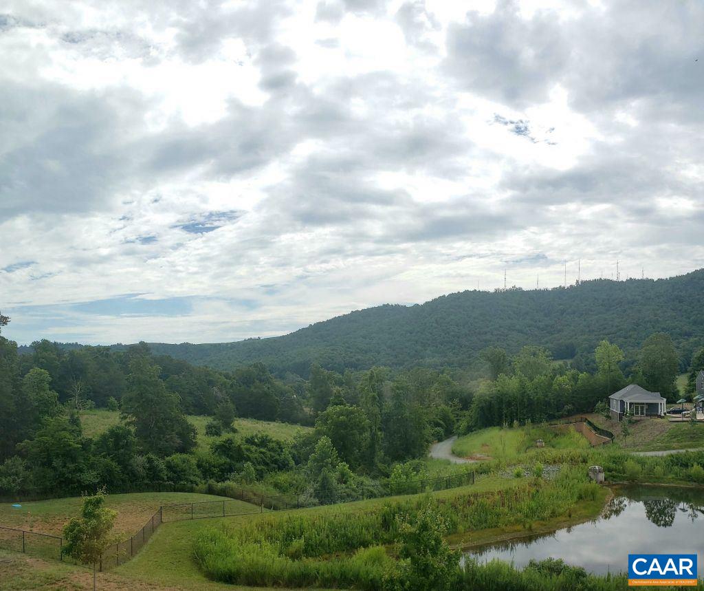 2180 Avinity Loop Charlottesville, VA 22902 - Photo 5 of 32 a view of a city with lush green forest