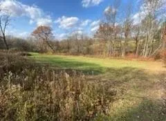 a view of outdoor space with green field and trees all around