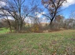 336 Walkchalk Road Kittanning, PA 16201 - Photo 43 of 49 a view of a yard with a tree
