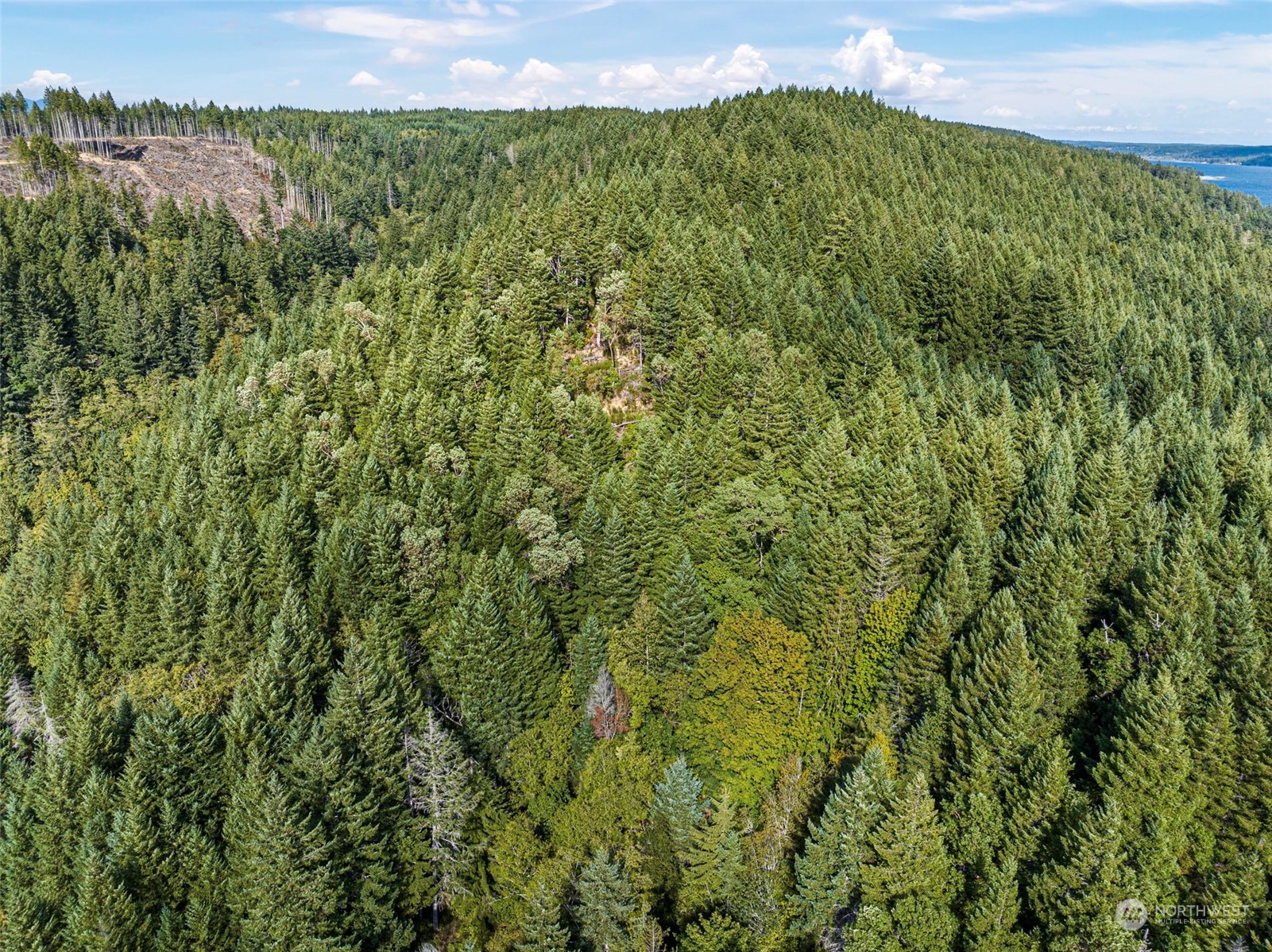 0 Northeast North Shore Road Belfair, WA 98528 - Photo 11 of 17