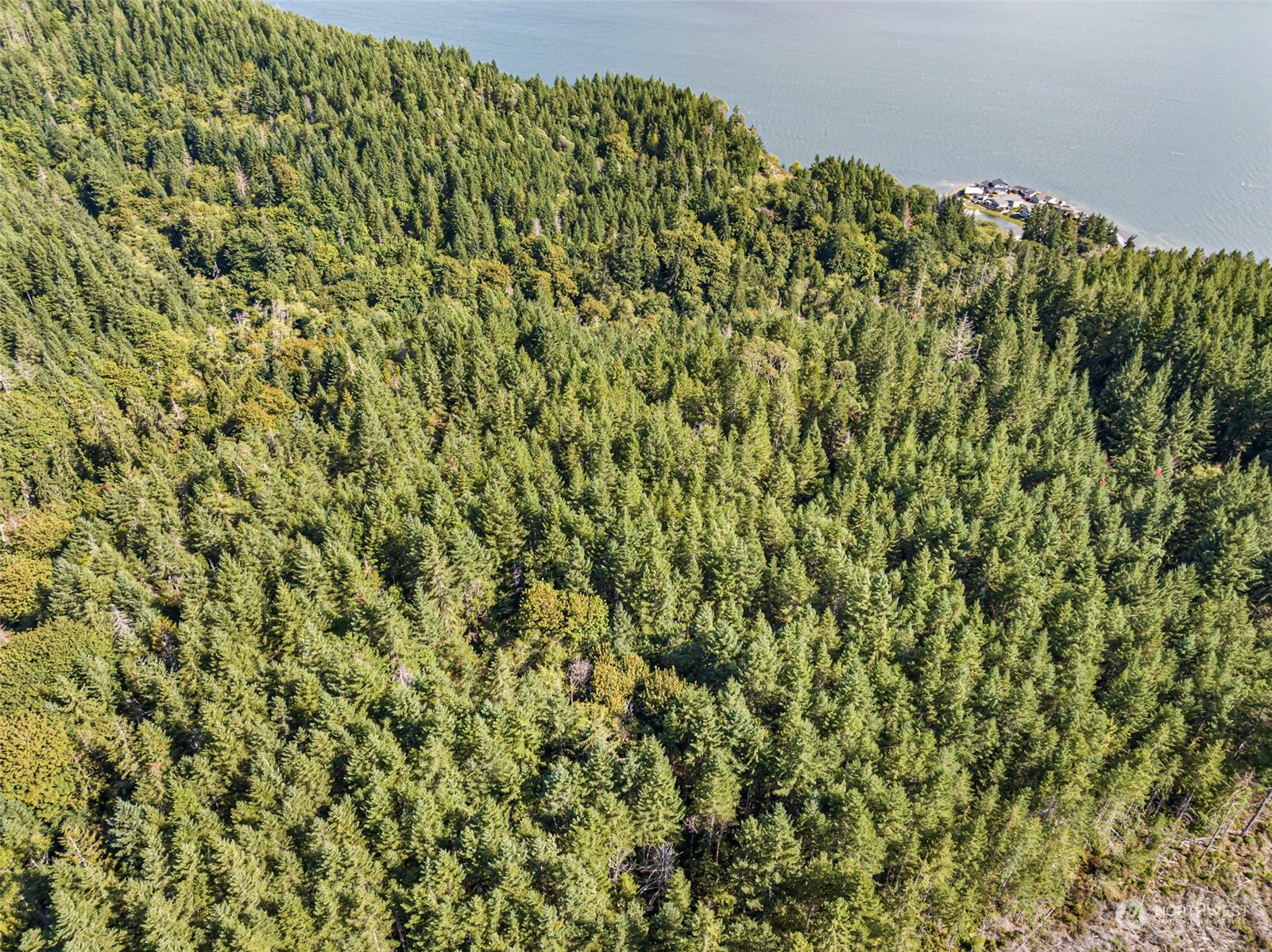 0 Northeast North Shore Road Belfair, WA 98528 - Photo 12 of 17