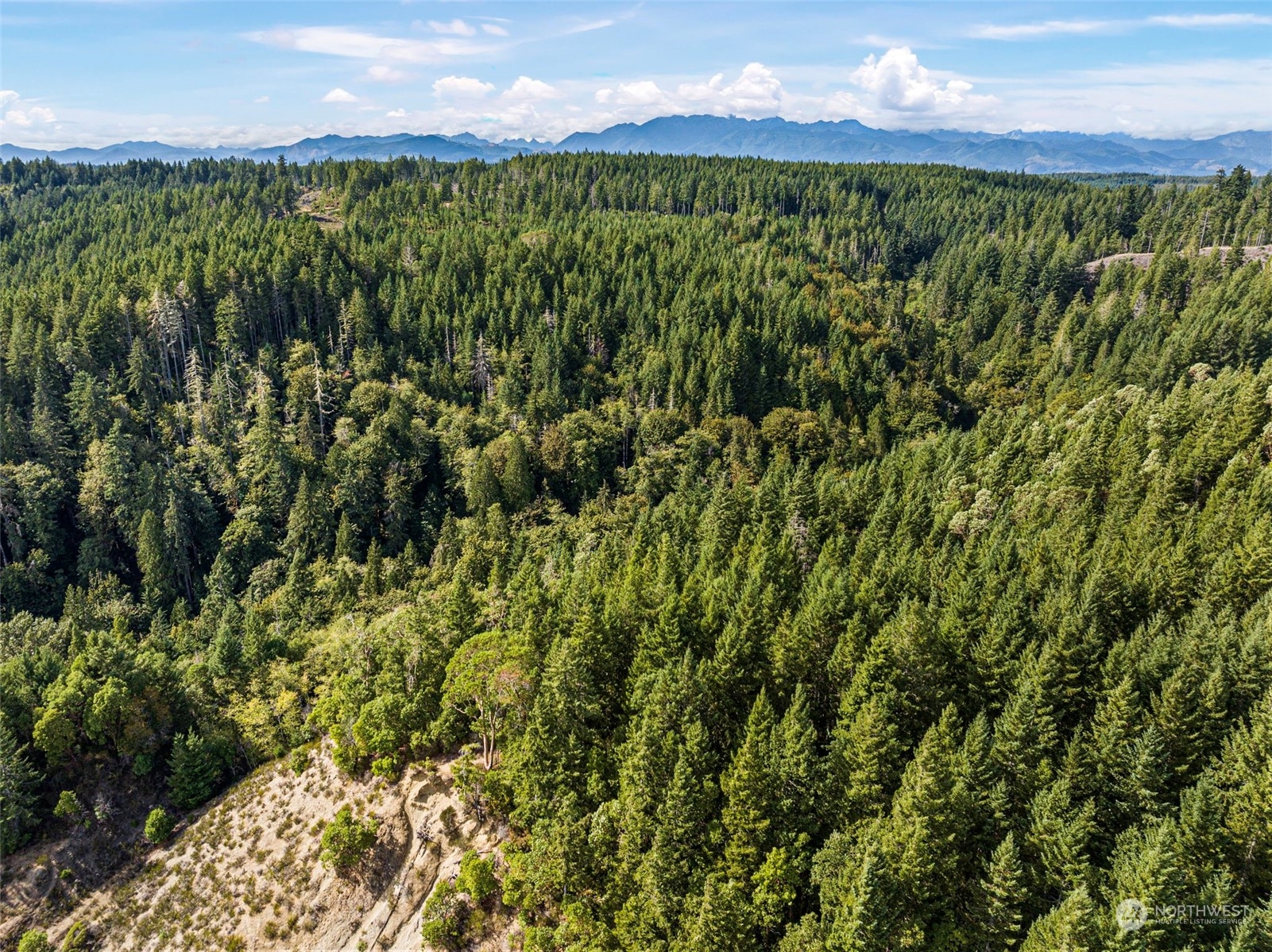 0 Northeast North Shore Road Belfair, WA 98528 - Photo 13 of 17