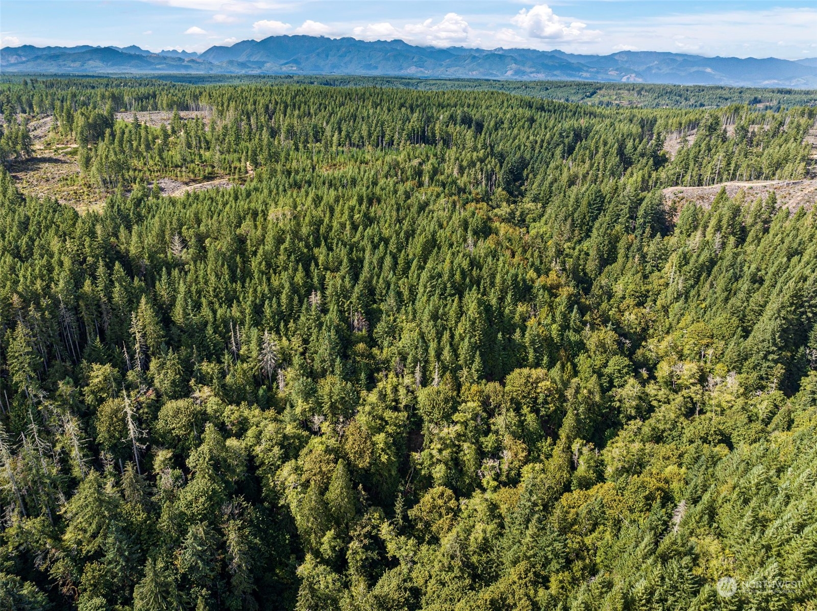 0 Northeast North Shore Road Belfair, WA 98528 - Photo 14 of 17
