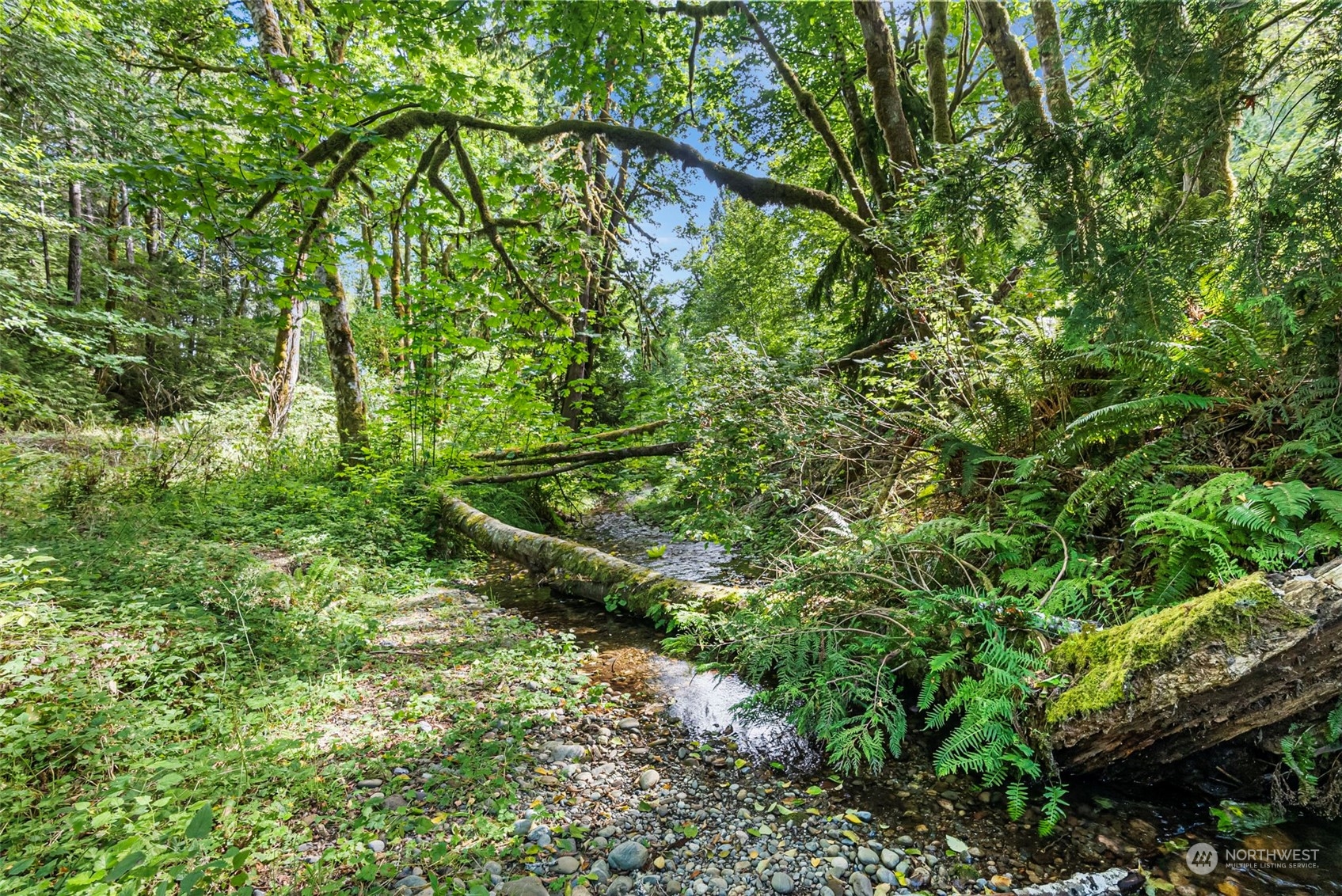 0 Northeast North Shore Road Belfair, WA 98528 - Photo 2 of 17